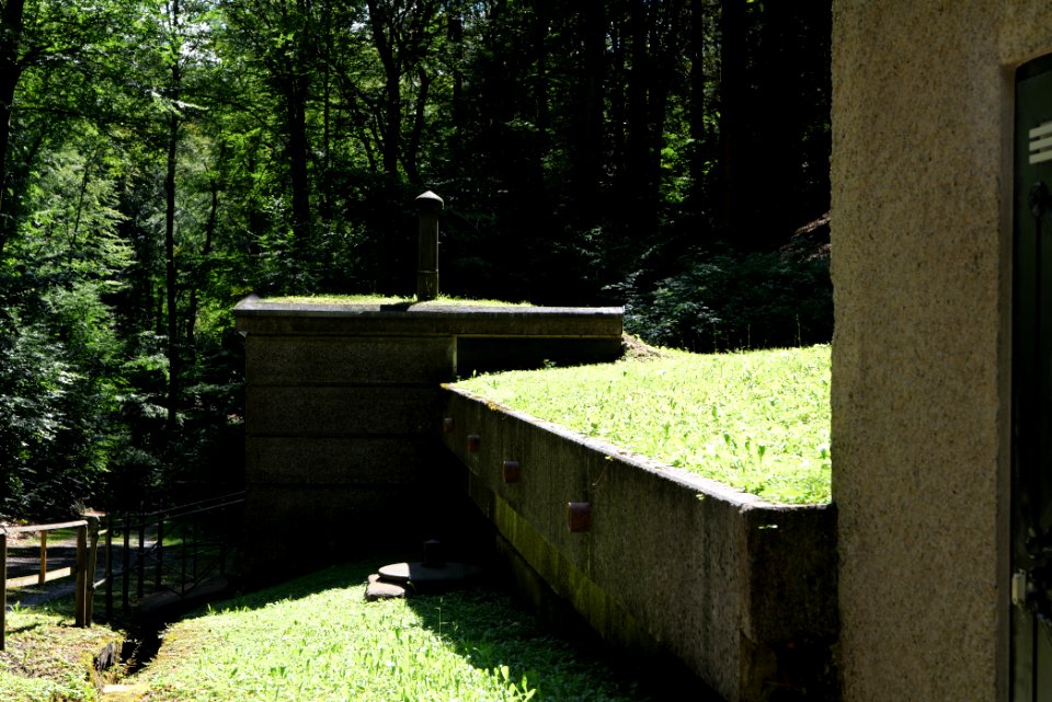 Water works Rombach Taunus 2020-08-18 07
