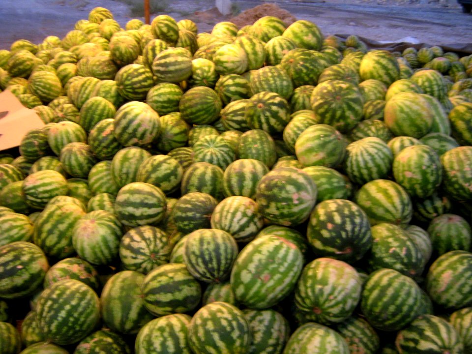 Watermelon - Fruit Bazaar - near Besat sq - Nishapur 11