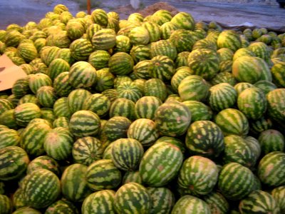Watermelon - Fruit Bazaar - near Besat sq - Nishapur 11