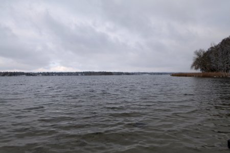 Wannsee from Düppeler Forst 2021-01-30 01