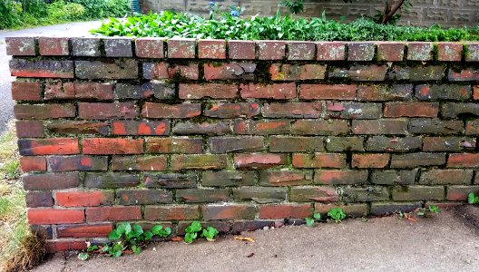 Wall - Arlington, MA - 20200722 095924