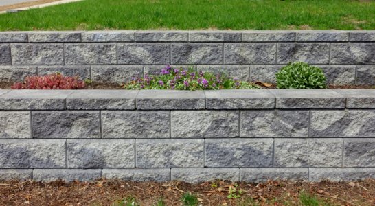 Wall - Arlington, MA - DSC00550