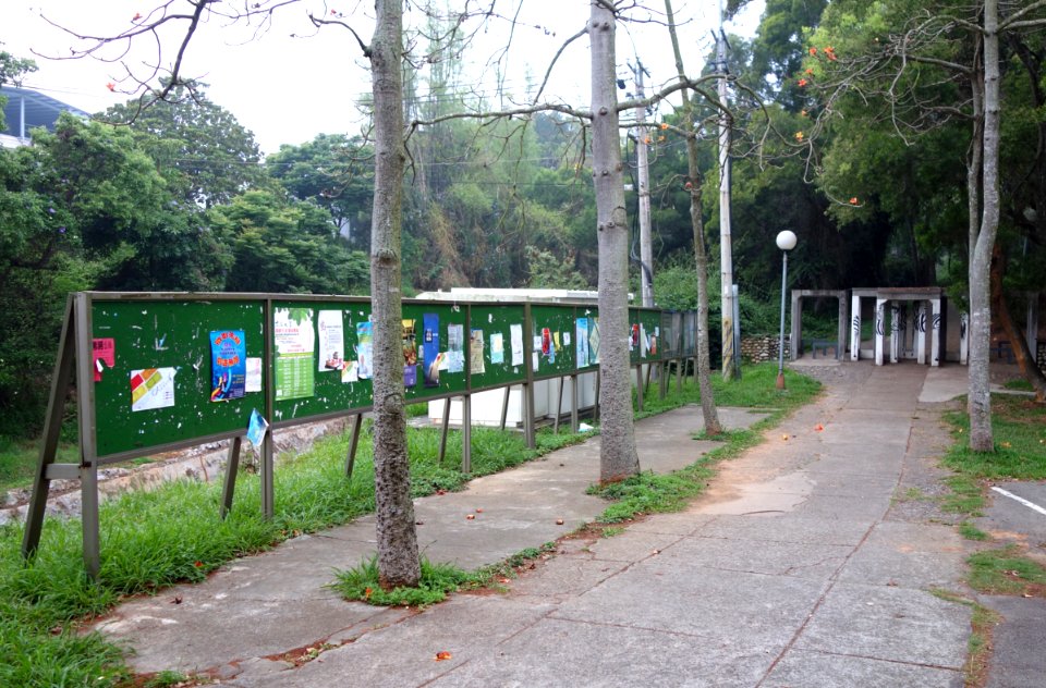 Walkway - Tunghai University - DSC01419