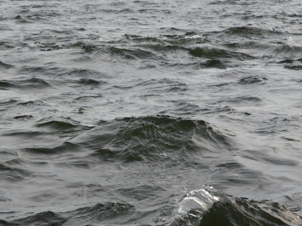 Water-1