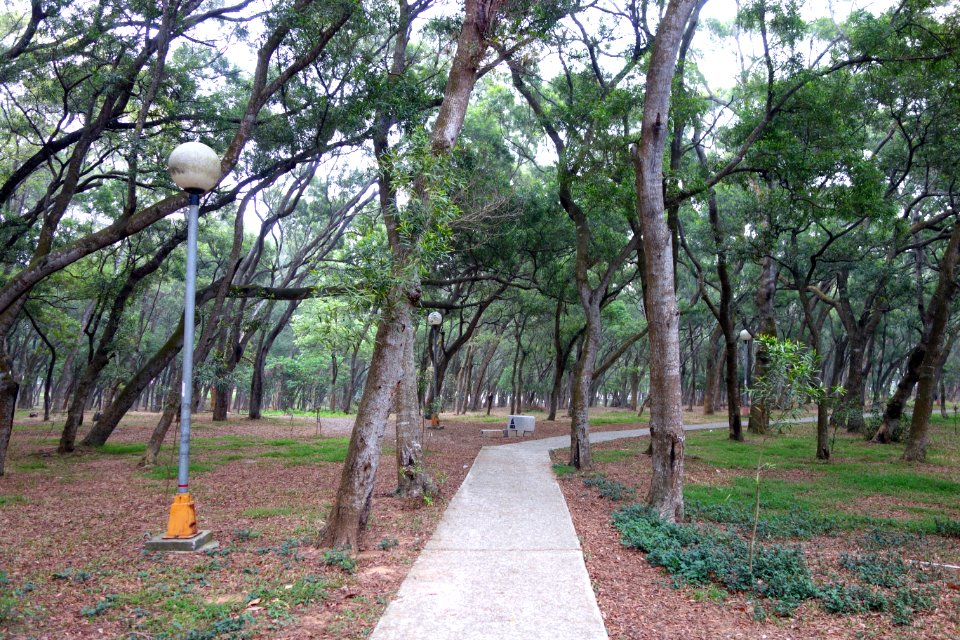 Walkway - Tunghai University - DSC01447