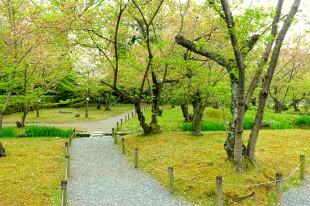 Walkway - Shōsei-en - Kyoto, Japan - DSC06898