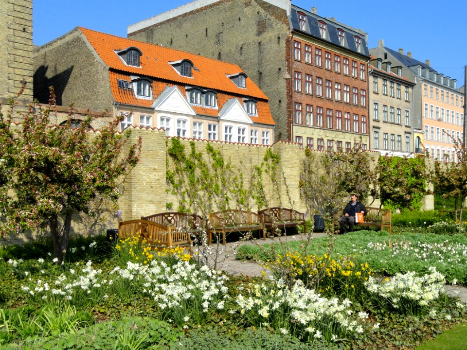 Wall - Kongens Have - Copenhagen - DSC08333