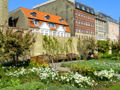 Wall - Kongens Have - Copenhagen - DSC08333