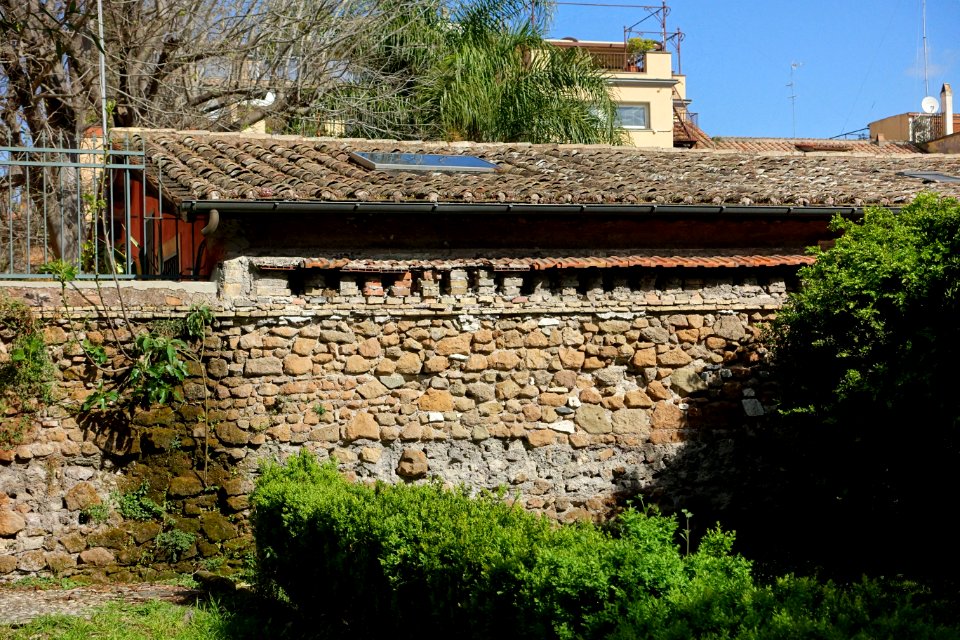 Wall - Orto botanico - Rome, Italy - DSC09841