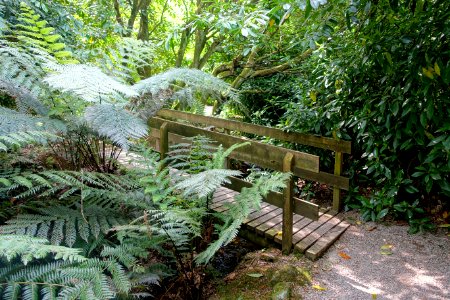Walkway - Trengwainton Garden - Cornwall, England - DSC02530