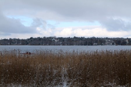 Wannsee from Düppeler Forst 2021-01-30 03