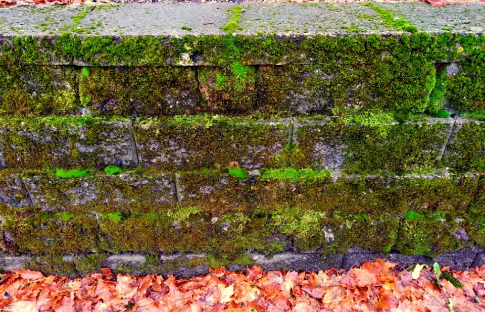 Wall - Arlngton, MA - 20201127 101305