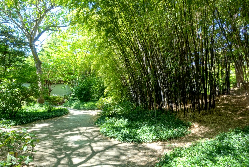 Walkways - Dr. Sun Yat-Sen Park - Vancouver, Canada - DSC09964