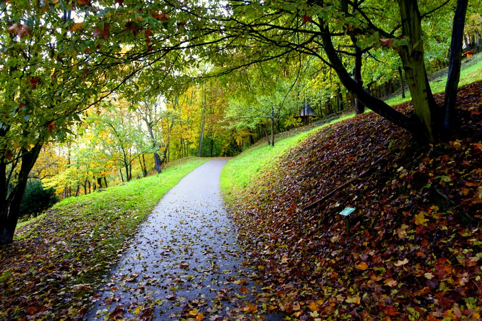 Walkway - Landesgartenschau-Park - Würzburg, Germany - DSC04429