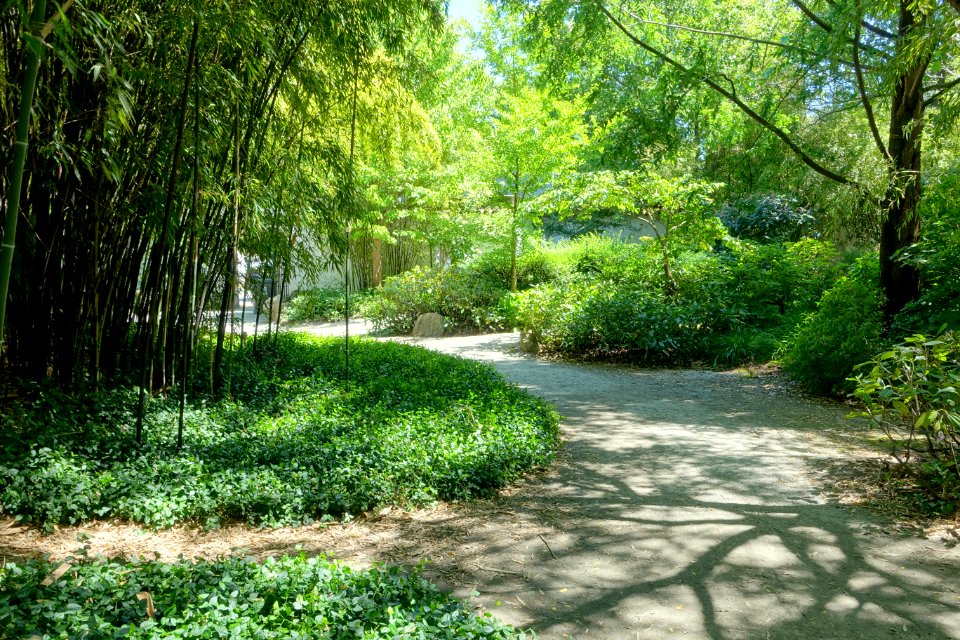 Walkways - Dr. Sun Yat-Sen Park - Vancouver, Canada - DSC09952