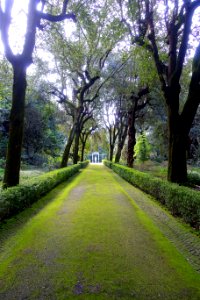 Walkway - Barberini Gardens - Castel Gandolfo - DSC04347