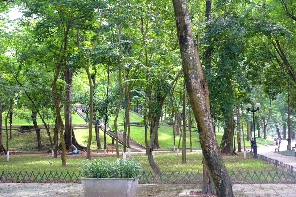 Walkways - Hanoi Botanical Garden - Hanoi, Vietnam - DSC03533