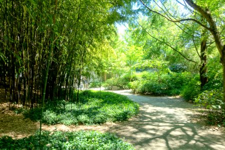 Walkways - Dr. Sun Yat-Sen Park - Vancouver, Canada - DSC09944