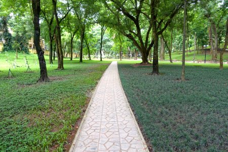 Walkway - Hanoi Botanical Garden - Hanoi, Vietnam - DSC03627