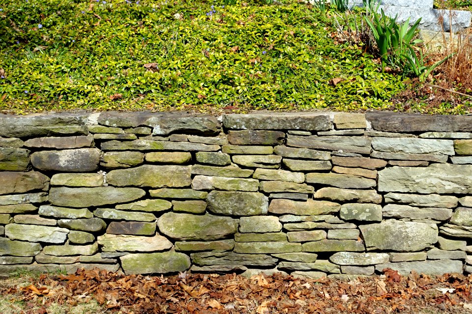 Wall - Arlington, MA - DSC09848
