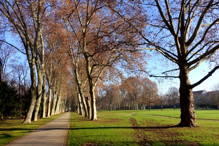 Walkway - Schlossgarten Stuttgart - Stuttgart, Germany - DSC01611