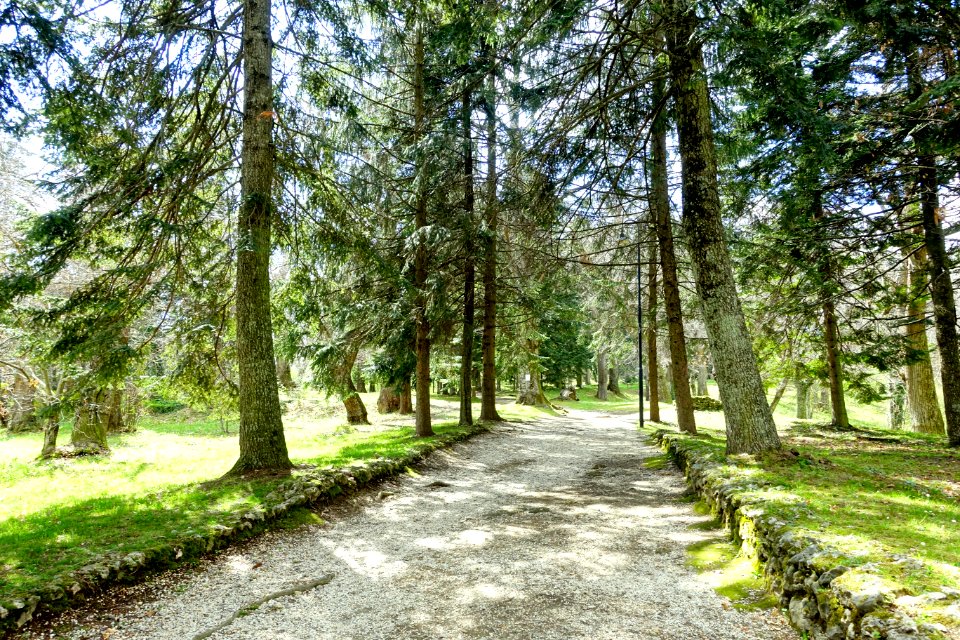 Walkway - Villa Farnese - Caprarola, Italy - DSC02249