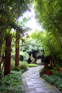 Walkway - Wangjianglou Park - Chengdu, China - DSC05936