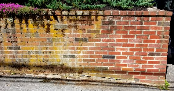 Wall - Arlington, MA - 20200613 100336