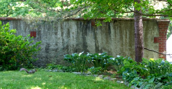 Wall - Arlington, MA - DSC02506
