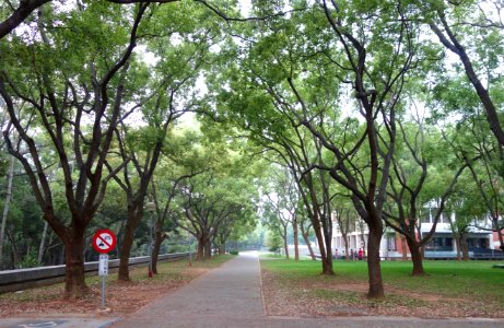 Walkway - Tunghai University - DSC01404