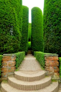 Walkway - Yew Garden - Packwood House - Warwickshire, England - DSC08682
