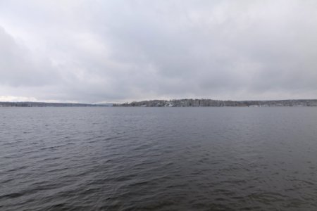 Wannsee from Düppeler Forst 2021-01-30 05