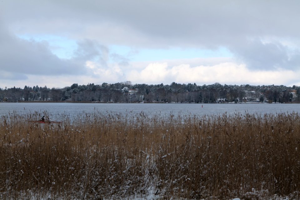 Wannsee from Düppeler Forst 2021-01-30 04