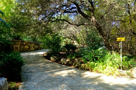 Walkway - Zilker Botanical Garden - Austin, Texas - DSC08882