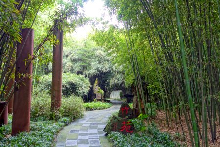 Walkway - Wangjianglou Park - Chengdu, China - DSC05949