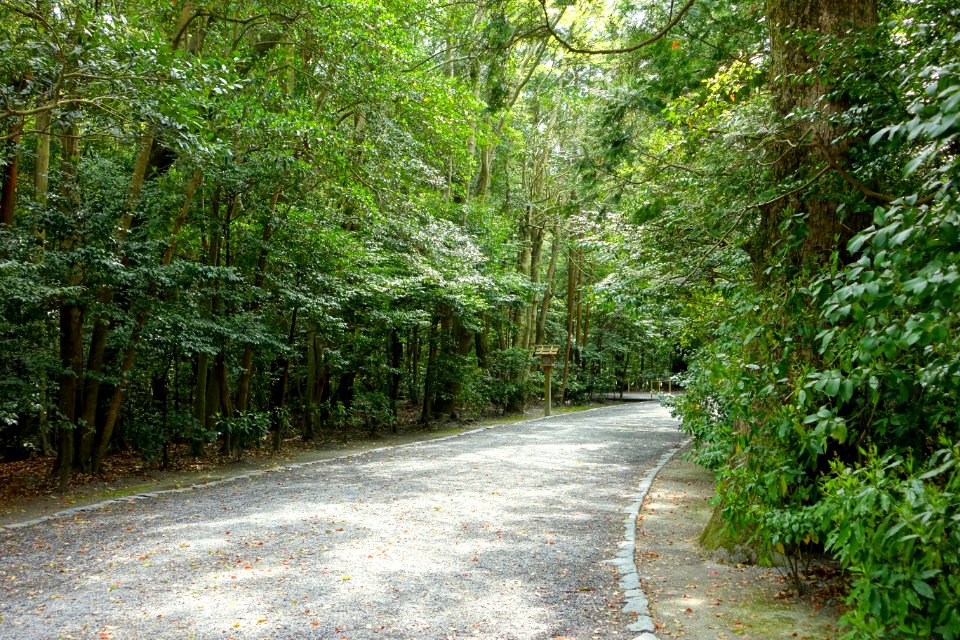 Walkway - Geku, Ise Shrine - Ise, Mie, Japan - DSC07784