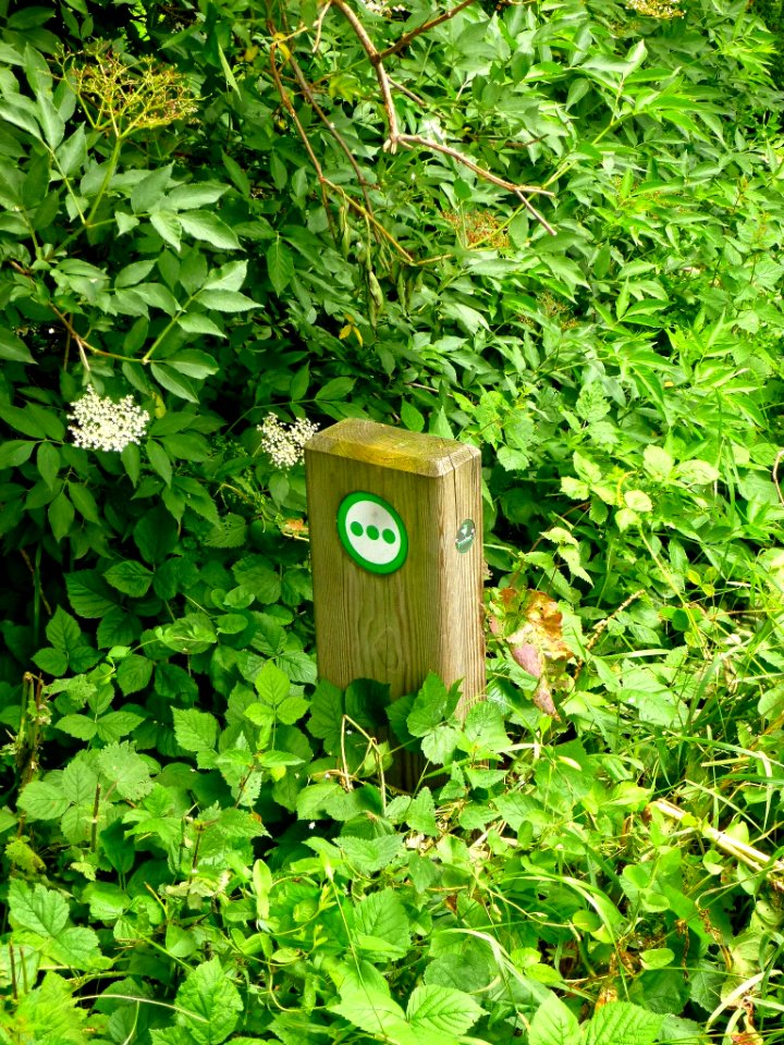 Vitoria - Anillo Verde, tramo Gamarra-Abechuco 5