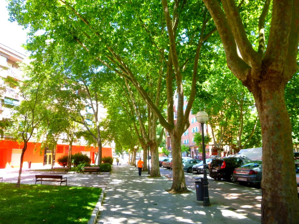 Vitoria - Barrio del Pilar, Calle Cofradía de Arriaga 06