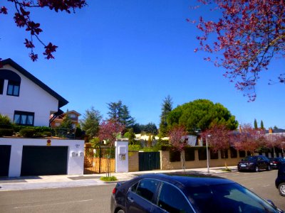 Vitoria - Armentia, primavera de 2019 (1)