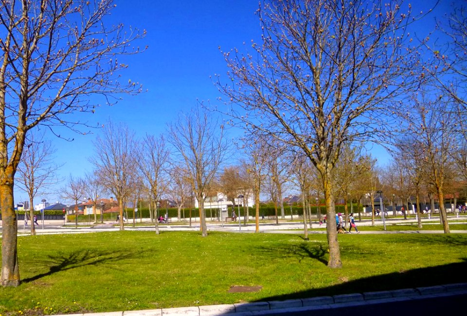 Vitoria - Armentia, primavera de 2019 (5)