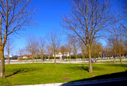 Vitoria - Armentia, primavera de 2019 (5)