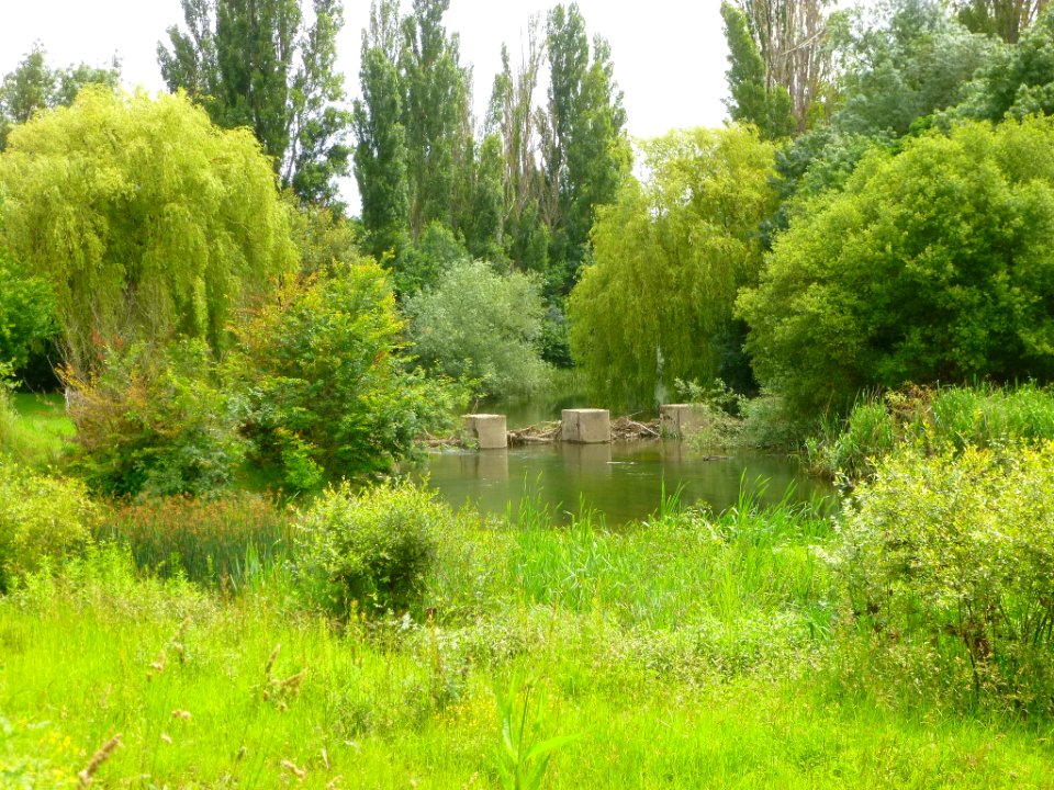 Vitoria - Anillo Verde, tramo Gamarra-Eskalmendi 3