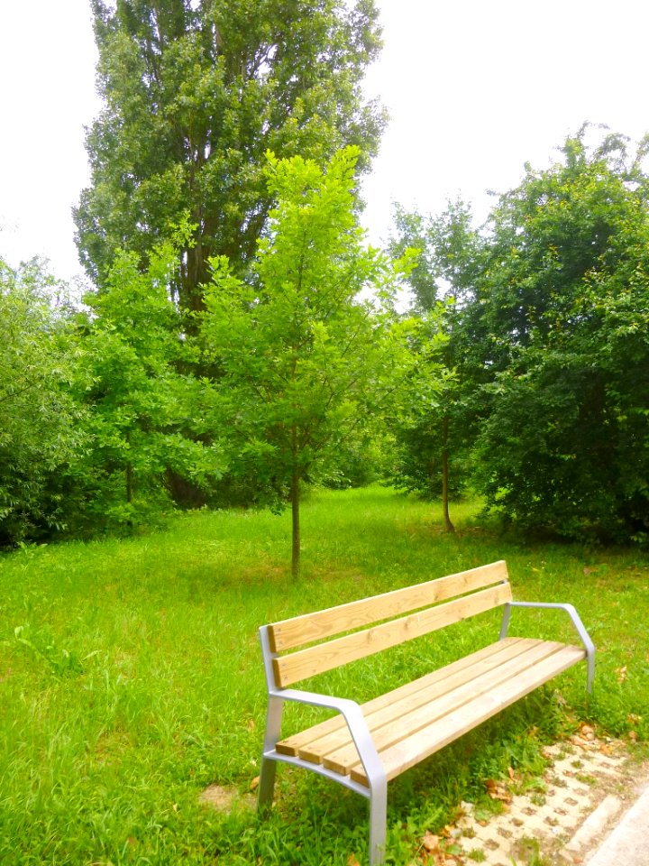 Vitoria - Anillo Verde, tramo Gamarra-Abechuco 6