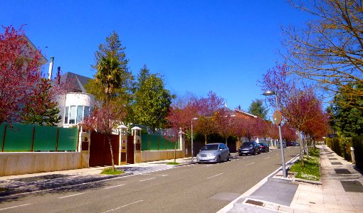 Vitoria - Armentia, primavera de 2019 (3)