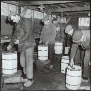 Visserij, oestercultuur Verpakking van oesters bij de NV Zeeuwse Oestermaatsc, Bestanddeelnr 126-1318