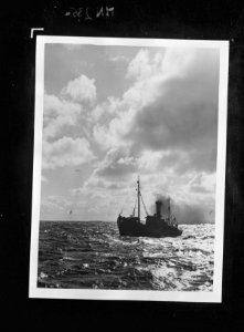 Visserij, Bestanddeelnr 935-3021