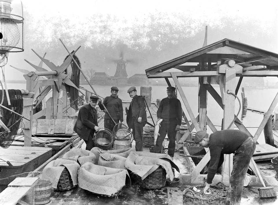 Visserij, viskwekerijen, mannen, vishandel, De Zaan, Bestanddeelnr 192-0850