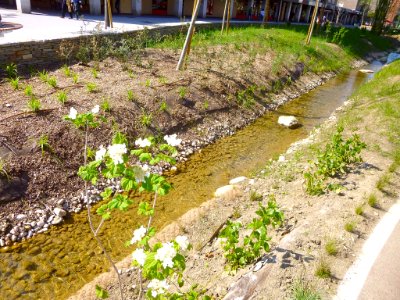 Vitoria - Avenida de Gasteiz, río Batán 05