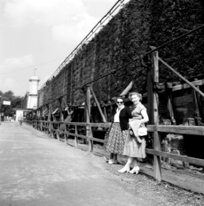 Vlnr Hilde Eschen en Uschi bij de Gradierwerken in Bad Salzuflen, Bestanddeelnr 254-3406