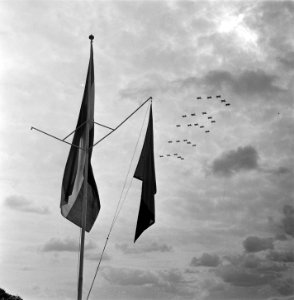Vliegfeest en defile luchtmacht Soesterberg, Bestanddeelnr 905-6323